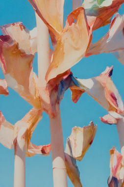 ...image rendering...